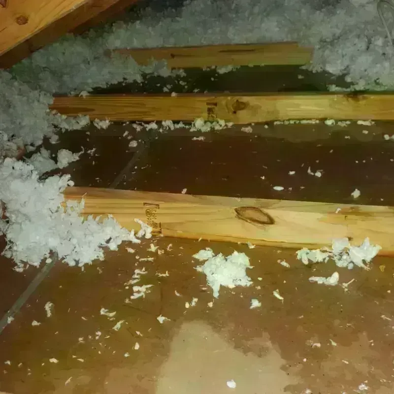 Attic Water Damage in Prairie Grove, AR